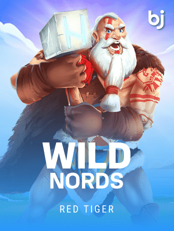WildNord icon
